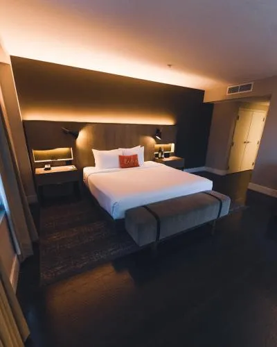 The Delaney Hotel photo 19