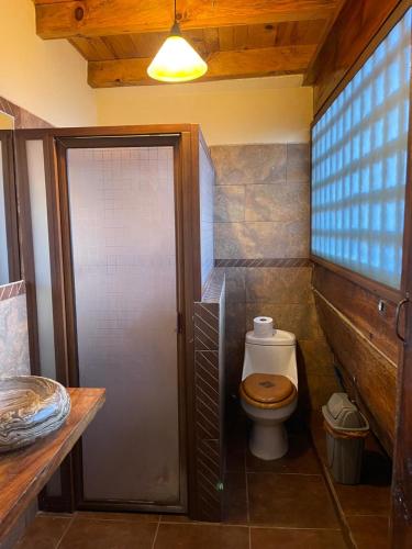 a bathroom with a toilet with a glass shower door at Parota in Mazamitla