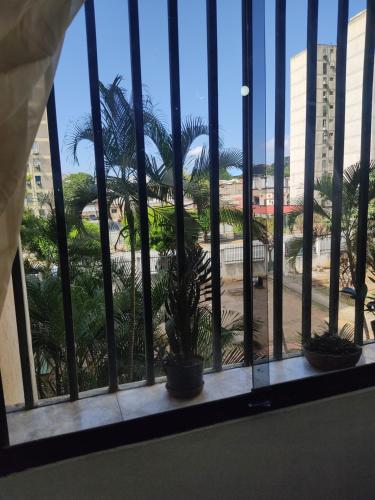 a view of a palm tree from a window at Hermoso, Apartamento zona Este in Barquisimeto