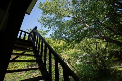 a wooden stairway leading up to a tree at 南熱海あじろハウス in Atami