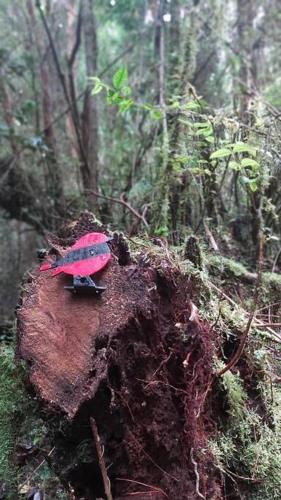 a toy bird sitting on top of a tree stump at Refugio Mayapehue, Lago Natri Chiloé in El Púlpito