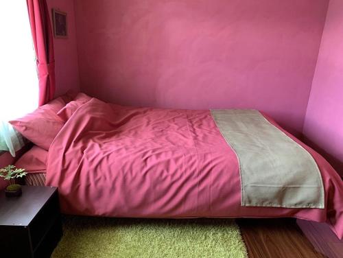 Katil atau katil-katil dalam bilik di Cozy Penguin House Bibai