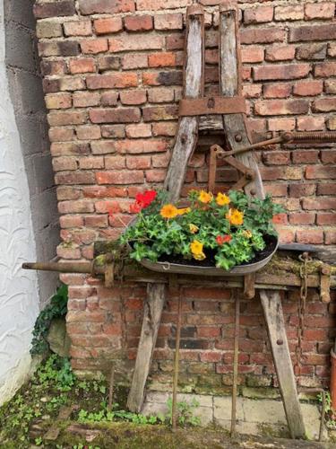 a flower pot on the side of a brick wall at Gästehaus "Auszeit" in Burgschwalbach