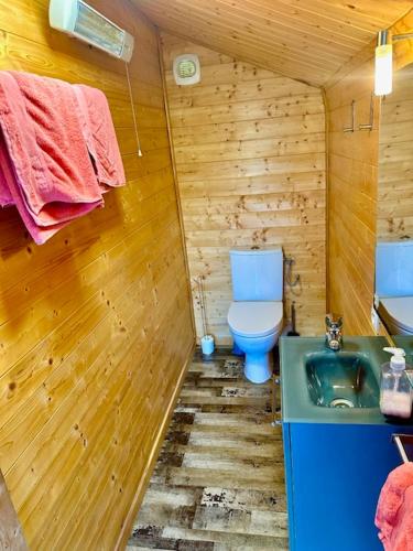 a small bathroom with a toilet and a sink at Chalet sur pilotis avec piscine privée in Lucéram