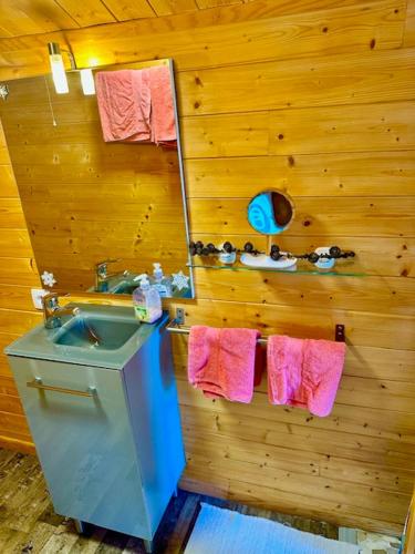 a bathroom with a sink and a mirror and pink towels at Chalet sur pilotis avec piscine privée in Lucéram
