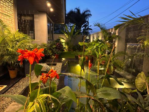 Jardin de l'établissement Lumbs'