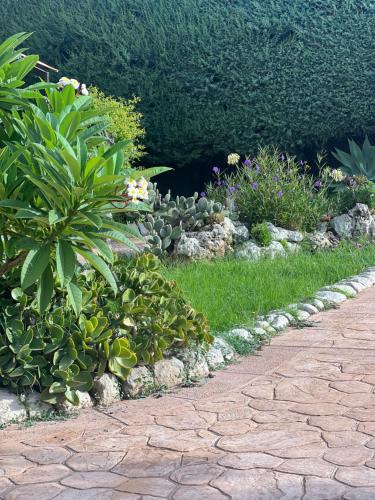 a garden with flowers and plants on a sidewalk at La Casa del Vagabondo in Belvedere