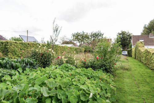 a garden with lots of green plants and flowers at Finca Feliz with private jacuzzi & sauna in Oostkamp