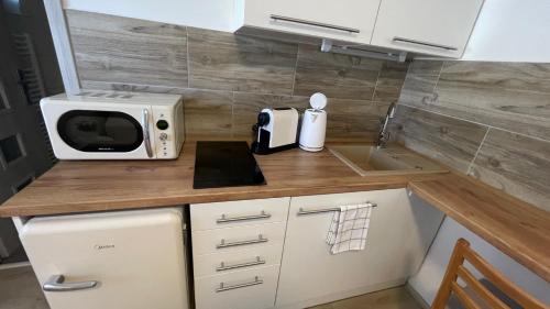 Kuchyň nebo kuchyňský kout v ubytování Dům nad Jezerem - apartmán III
