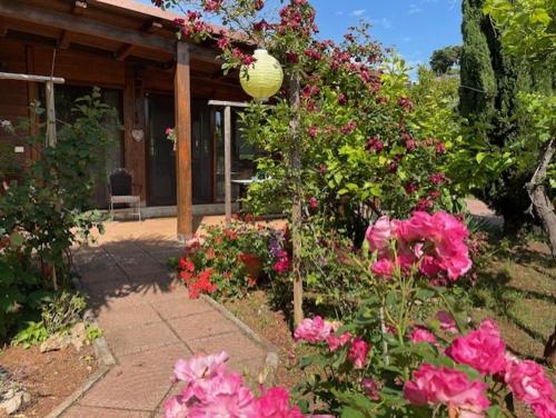 Foto dalla galleria di Chalet Mimosa a Itri