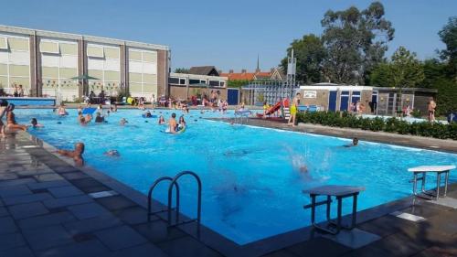 a group of people swimming in a swimming pool at Gastenverblijf op rustige camping in Zeeland in Kats