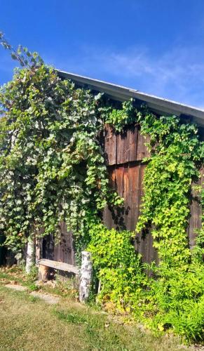 a building with vines growing on the side of it at Ferienwohnung Waldhäusl in Oberrosenauerwald