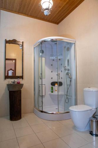 a bathroom with a shower with a toilet and a sink at Casa grande Covelinhas in Covelinhas