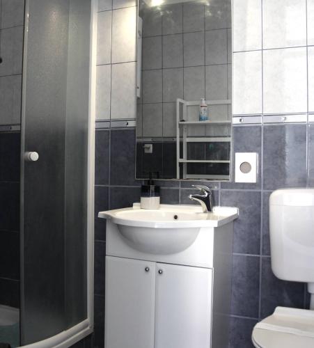 a bathroom with a sink and a toilet and a mirror at Vidoni - apartmani Roza in Zastražišće