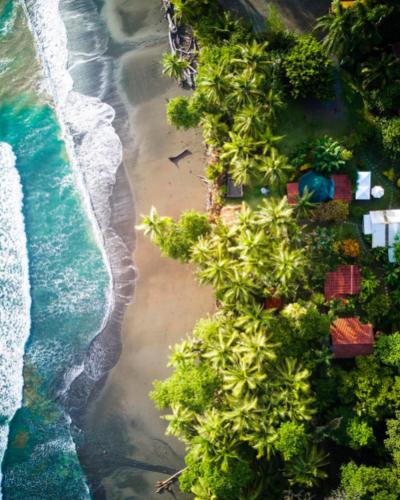 an aerial view of a beach with trees and the ocean at Rancho Burica in Pavones