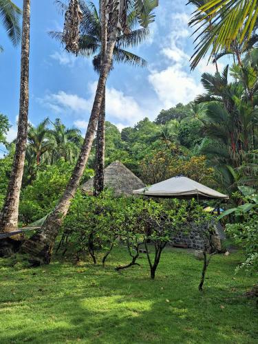 a resort with palm trees and an umbrella in the grass at Rancho Burica in Pavones