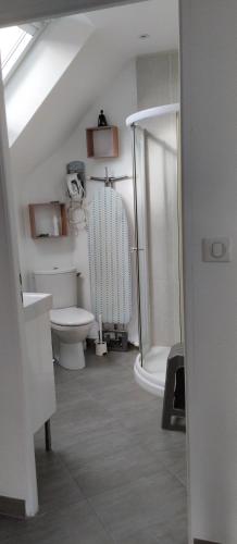 une salle de bain avec toilettes et douche dans l'établissement La grange du Manemeur, à Quiberon