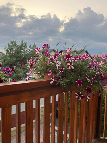 a bunch of flowers on a wooden fence at Tatraview House in Veľká Lomnica