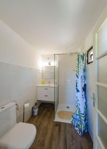 une salle de bain avec douche et toilettes dans l'établissement Casa Kallinina, à Esigna
