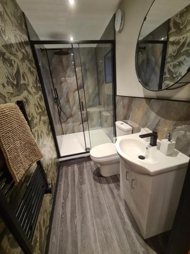 a bathroom with a toilet and a sink and a shower at The Stables by Blake View Holidays, comprising The Nest, The Drey, The Burrow and the Den, 3 miles from Ennerdale in Rowrah