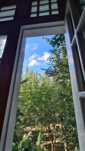 a window view of a tree from a house at Rus Olive Lodge Skardu in Skardu