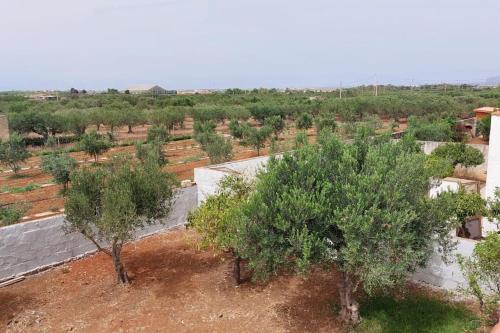 Paesaggio naturale nelle vicinanze della casa vacanze