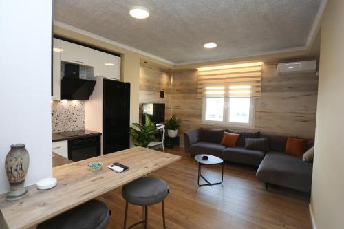 David Center Apartment