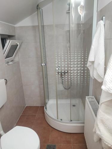 a shower with a glass door in a bathroom at Casa Luminita in Brezoi
