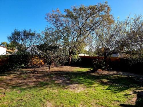 a yard with trees and grass and a building at 3 bedroom garden house in Tableview in Table View