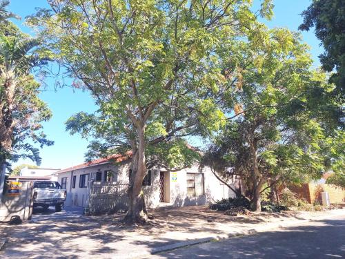 a tree in front of a house at 3 bedroom garden house in Tableview in Table View