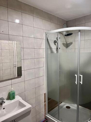 une salle de bain avec douche et lavabo dans l'établissement Appartement T5 Spacieux, à Lyon