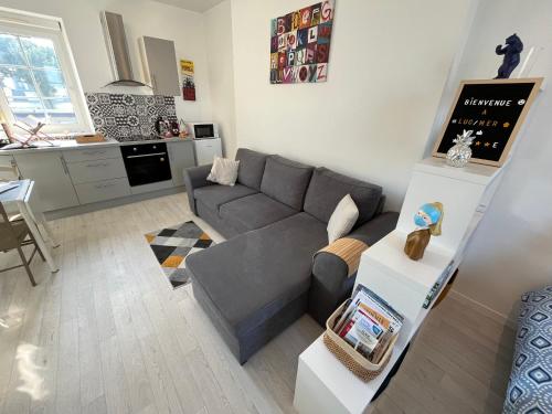 Il comprend un salon avec un canapé gris et une cuisine. dans l'établissement Beau Studio avec vue sur Mer et parking gratuit, à Luc-sur-Mer