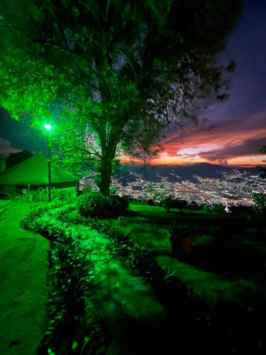 a tree in a park at night with a street light at LasNubes EcolodgeNubes Ecolodge in Santa Elena
