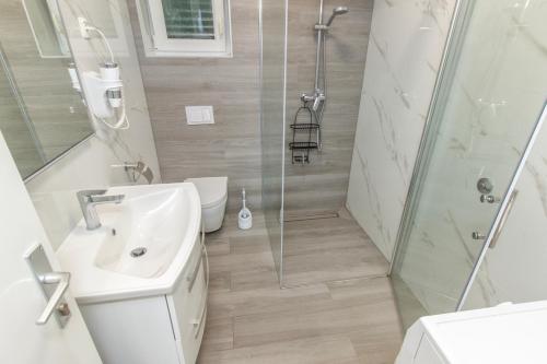 a bathroom with a shower and a sink and a toilet at Apartment Damir in Brodarica