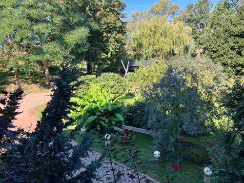 an overhead view of a garden with trees and bushes at Doppelzimmer vom Friesenhof Wieratal in Nobitz