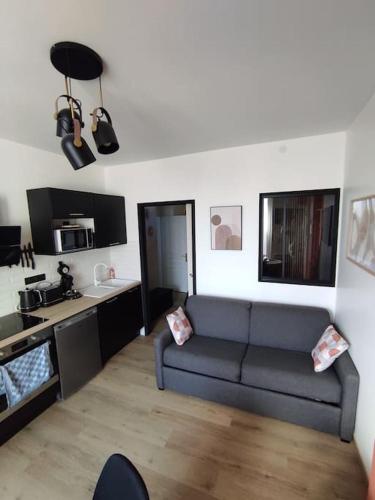 un salon avec un canapé et une cuisine dans l'établissement Au bord du loir, à Cloyes-sur-le-Loir