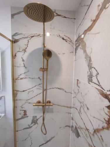 e bagno con doccia e parete in marmo. di Au bord du loir a Cloyes-sur-le-Loir
