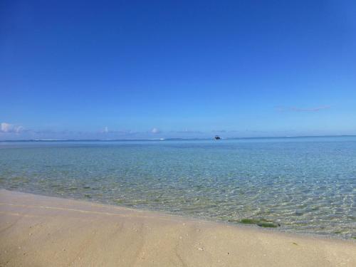 a view of the ocean with a sandy beach at Le Cabanon in Choisy