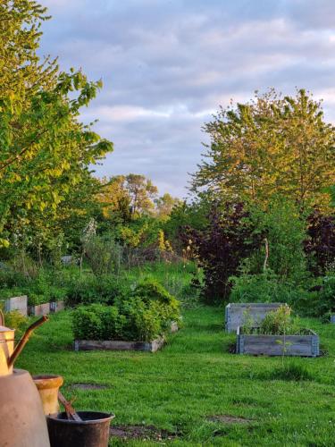 a garden with some plants in the grass at Huset i Oreby in Sakskøbing