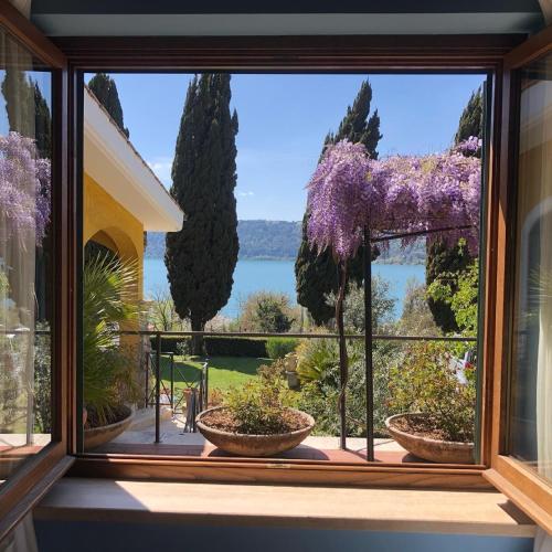 a window with purple wisterias in pots on a balcony at Il Nido del Falco in Castel Gandolfo