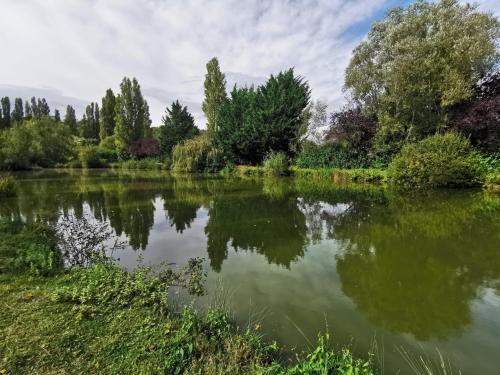 Výhled na řeku, která protéká v blízkosti apartmánu