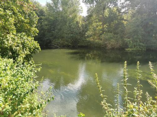 Příroda nedaleko apartmánu