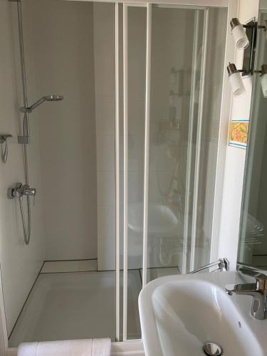a bathroom with a shower and a sink at Ferienwohnungen Ollarzried in Ollarzried