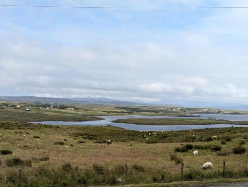 a group of animals grazing in a field next to a river at BluePigeons Pods Roag Dunvegan in Lonmore