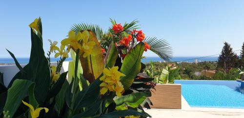 Happyplace Malaga - Villa with Panoramic Sea View Heated Infinity Saltwater Pool