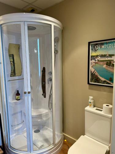 une salle de bain avec douche et toilettes dans l'établissement Hôtel Vintage, à Quimperlé