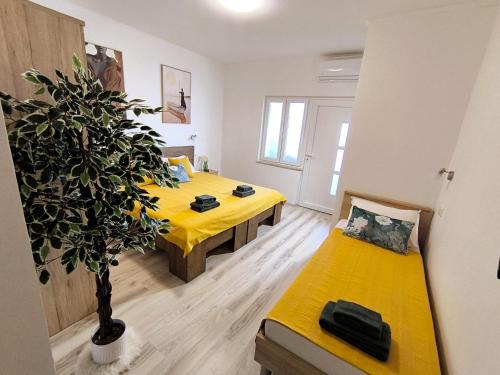 a room with two beds and a potted plant at Room 'Šima' with private bathroom and free air-conditioned summer kitchen in Šarića Struga