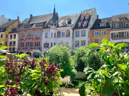 Κήπος έξω από το Les 6 Cordiers au coeur de ville