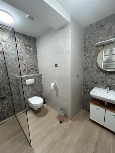 a bathroom with a toilet and a glass shower at Spirit Apartman in Villány
