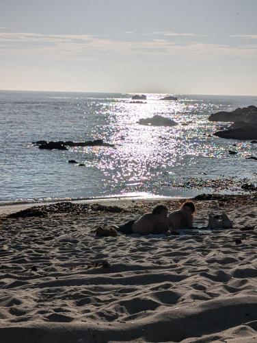 two people laying in the sand on the beach at Guest House da Mata2 in Póvoa de Varzim